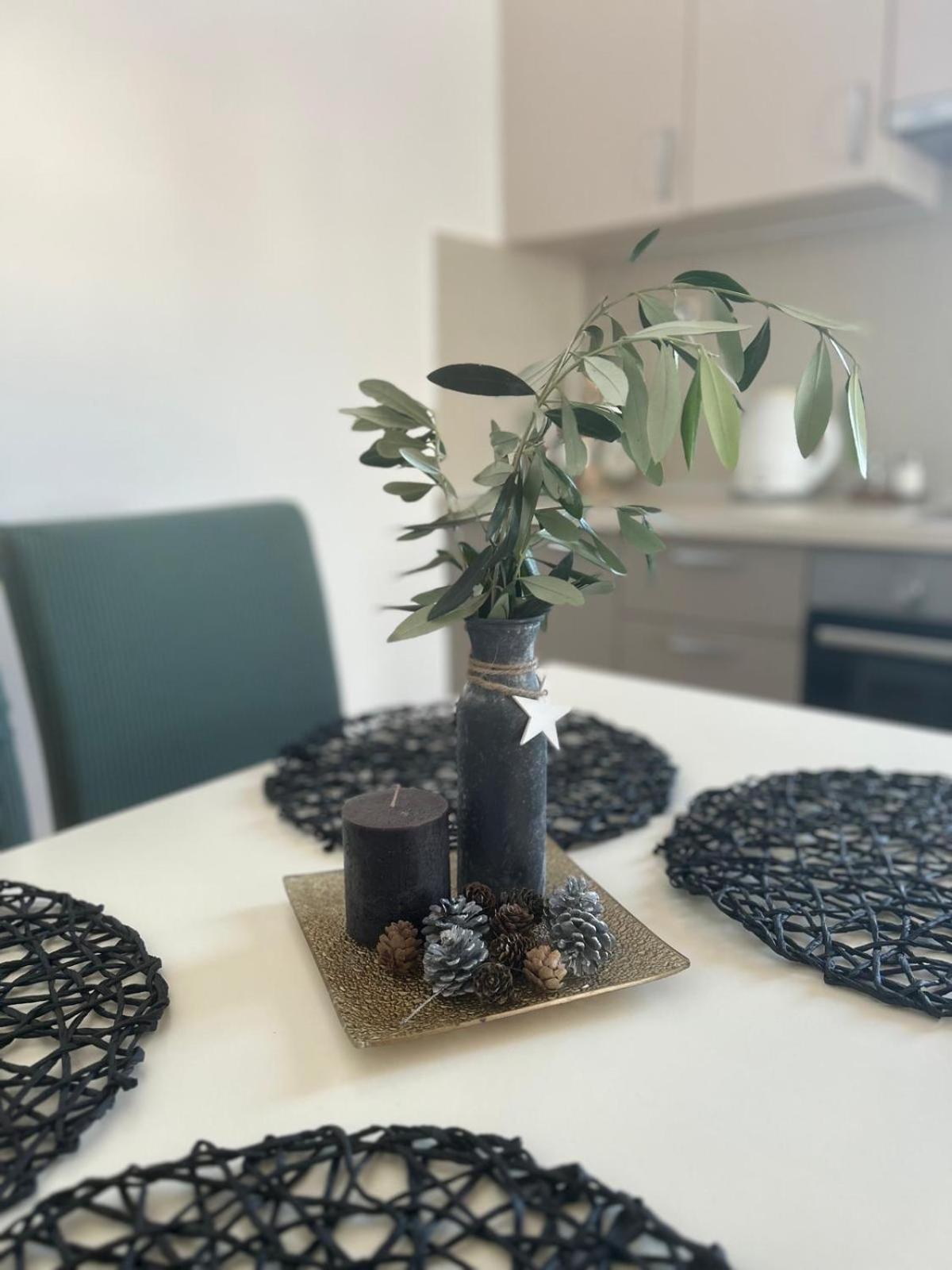 Apartmán Lipa Zadar